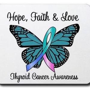 Meet your Posher, Jayme